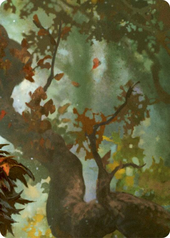 Sanctuary of Aria // Florian, Rotwood Harbinger (Top right) card image