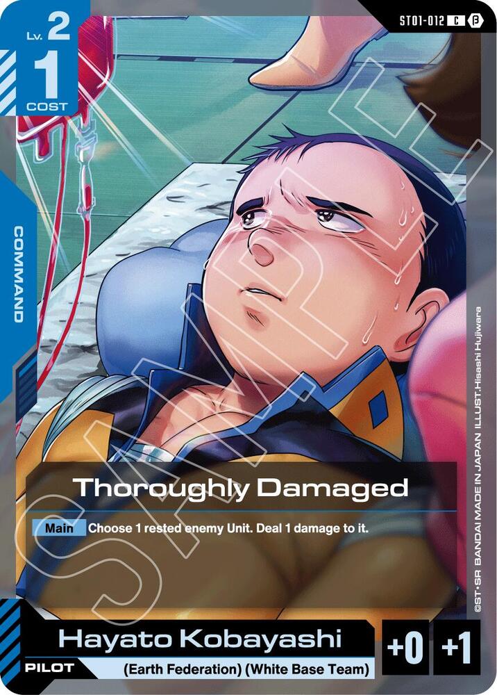 Thoroughly Damaged card image