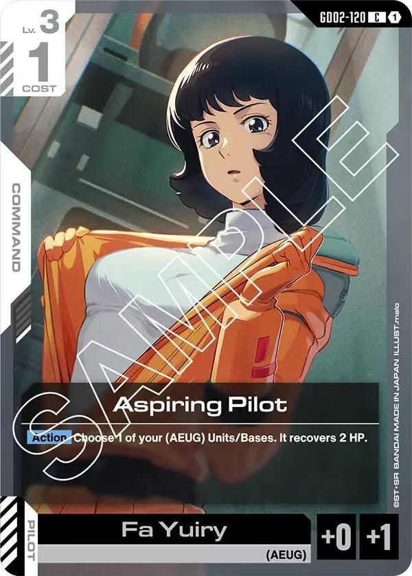 Aspiring Pilot card image