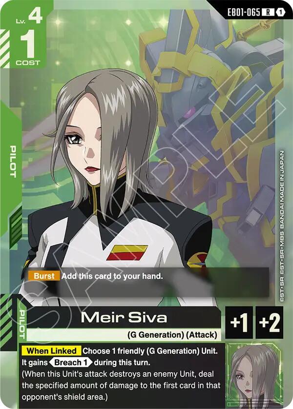 Meir Siva card image
