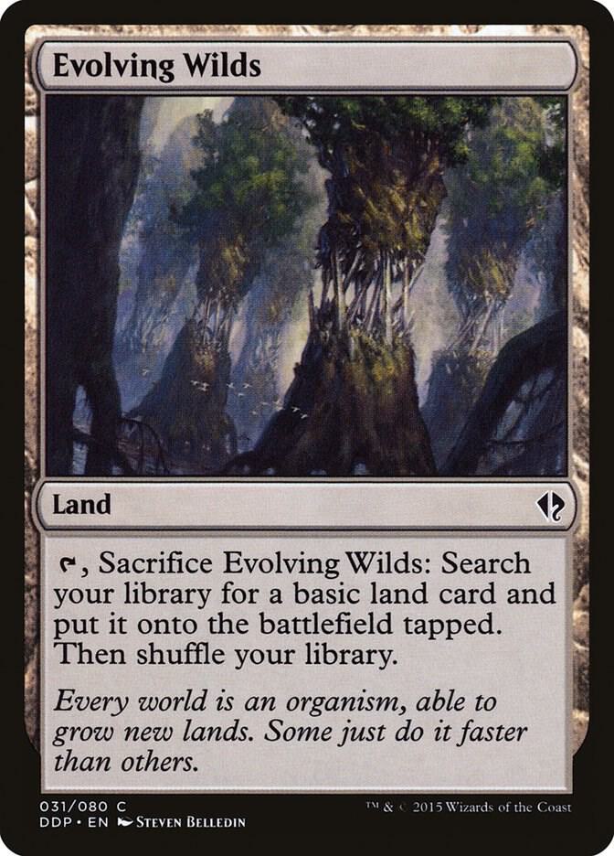 Evolving Wilds card image