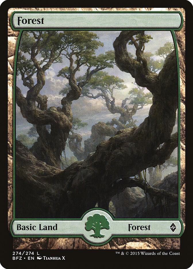 Forest (274) - Full Art card image