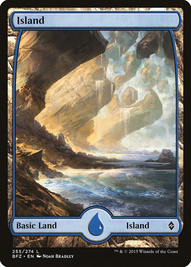 Island (255) - Full Art card image
