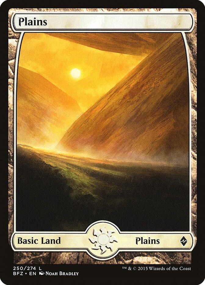 Plains (250) - Full Art card image