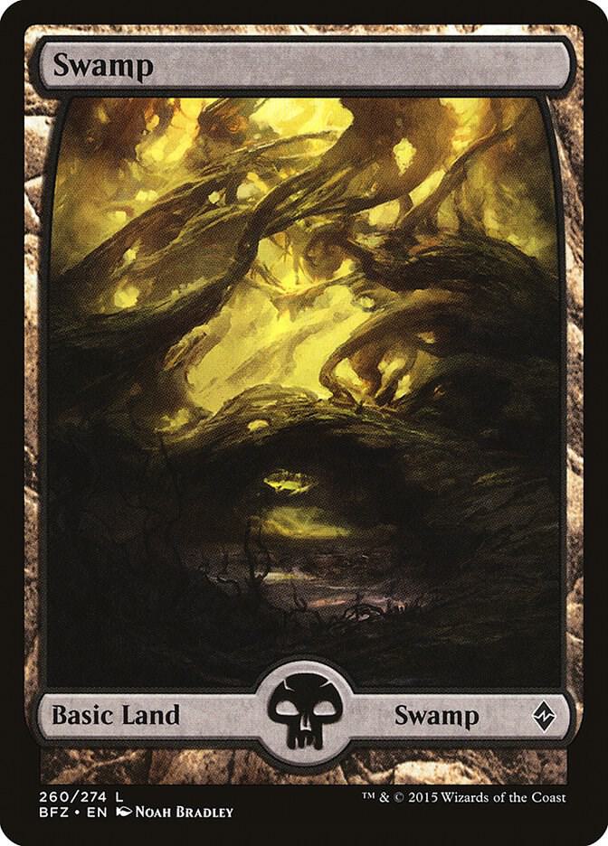Swamp (260) - Full Art card image