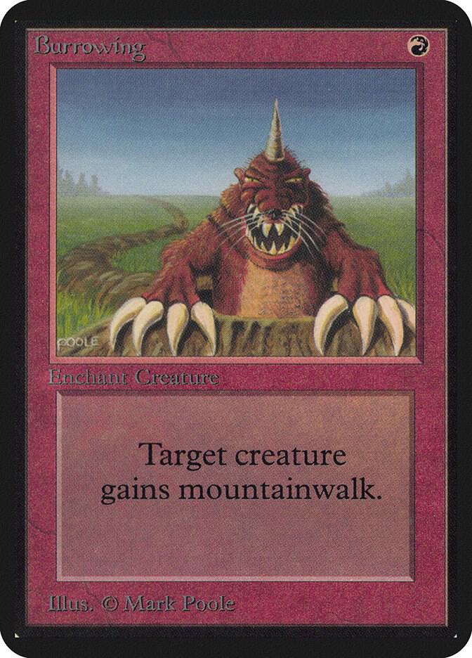 Burrowing card image
