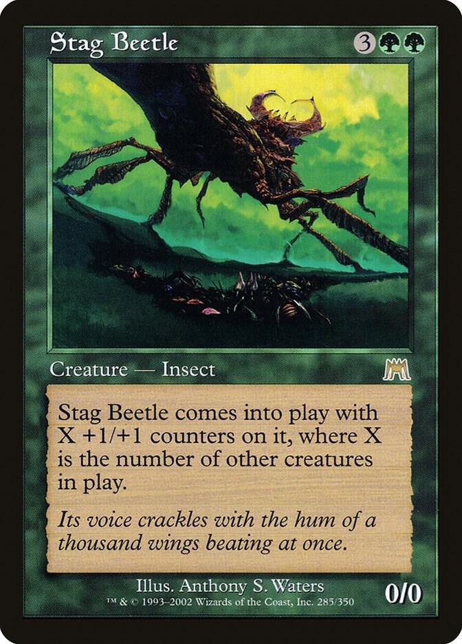 Stag Beetle card image