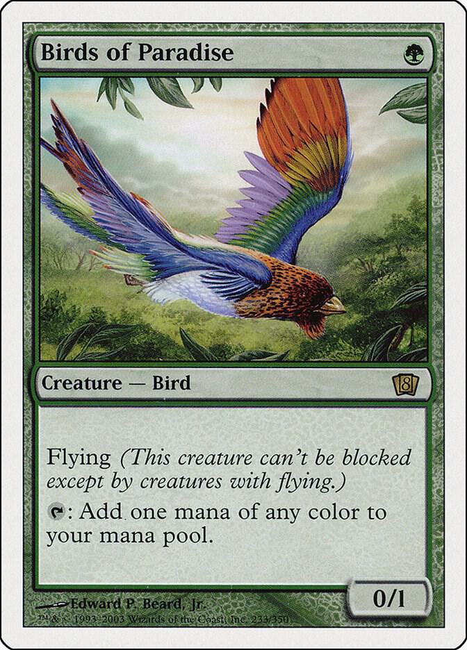Birds of Paradise card image
