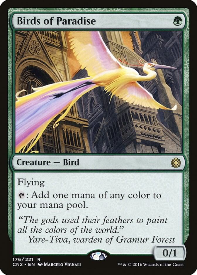 Birds of Paradise card image