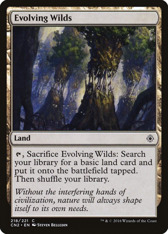 Evolving Wilds card image
