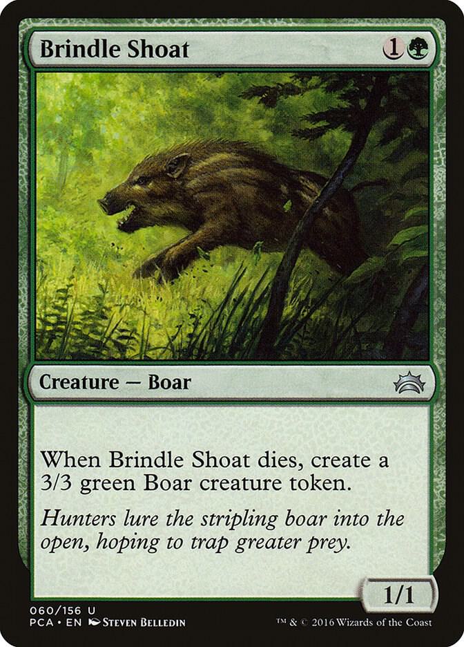 Brindle Shoat card image