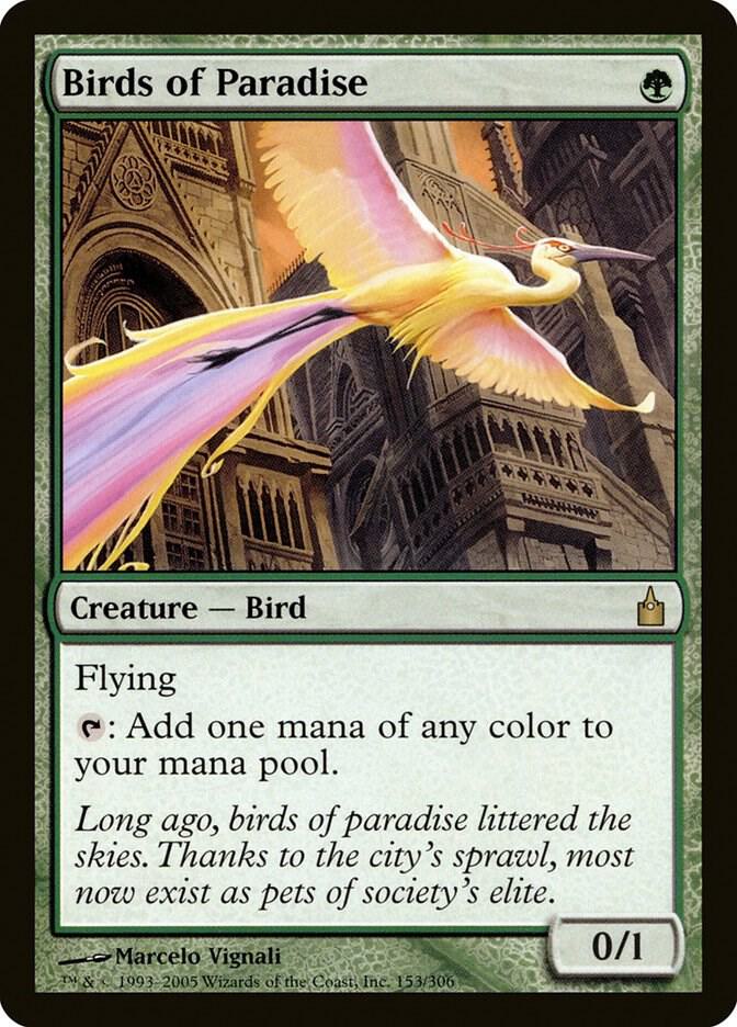 Birds of Paradise card image