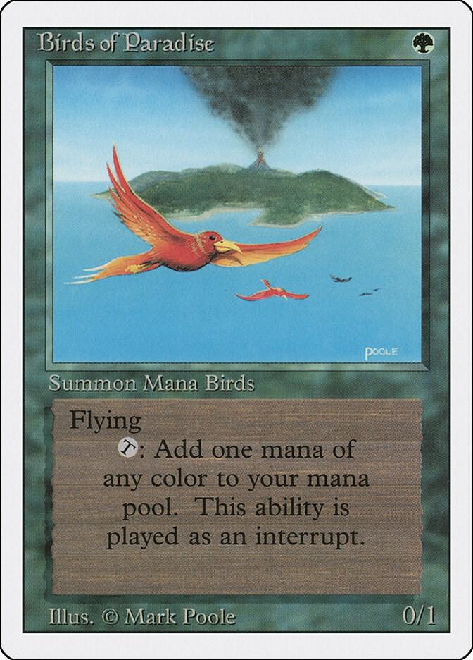 Birds of Paradise card image