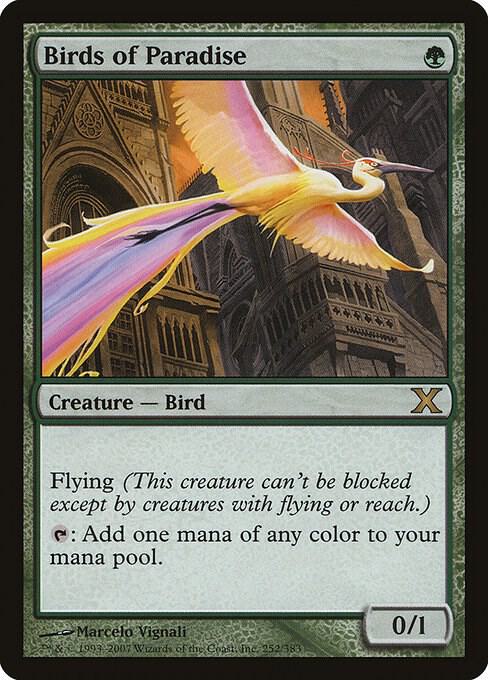 Birds of Paradise card image