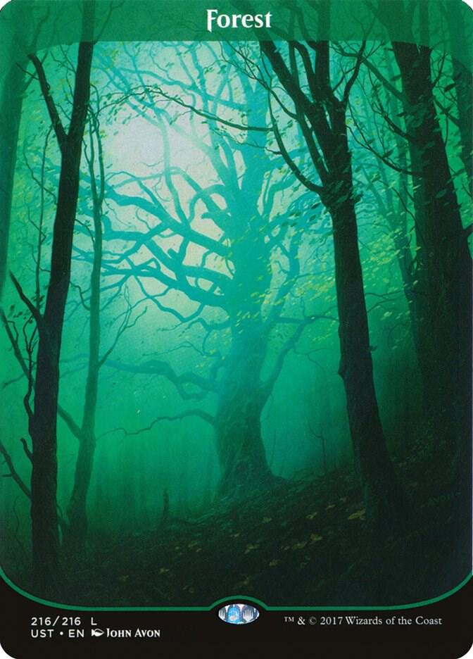 Forest card image