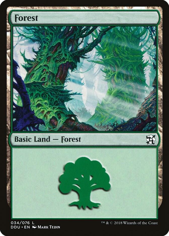 Forest (034) card image