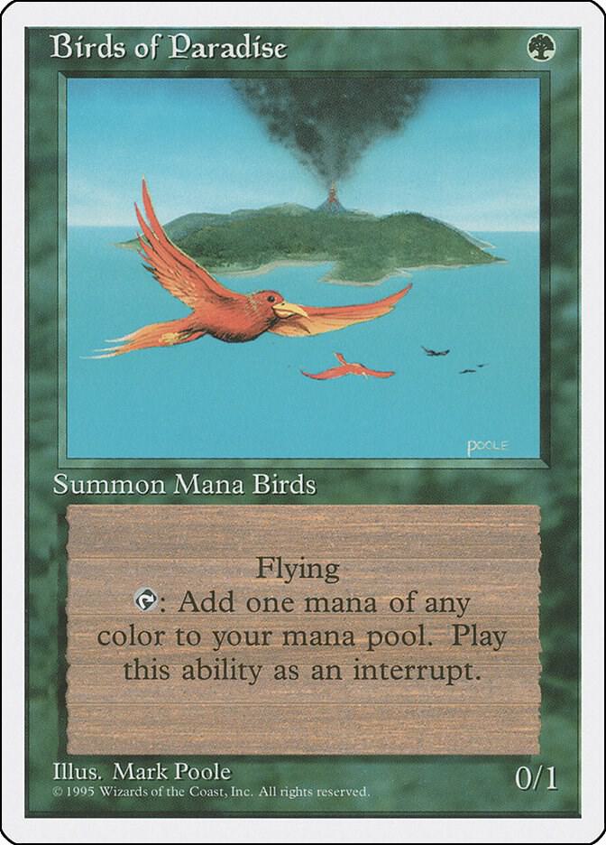 Birds of Paradise card image