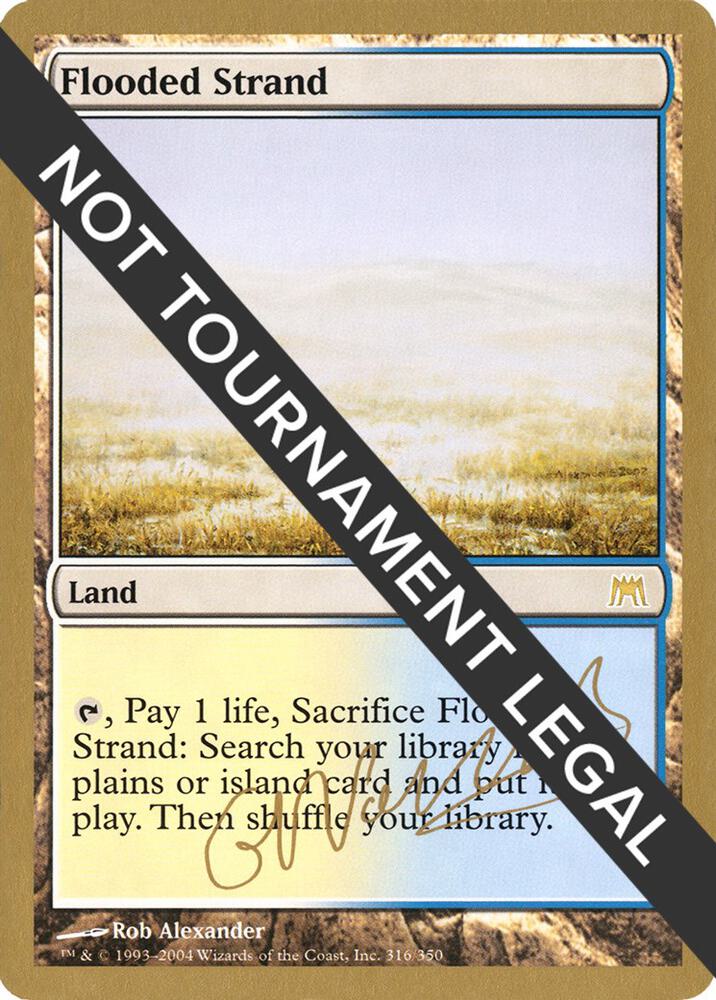 Flooded Strand - 2004 Gabriel Nassif (ONS) card image