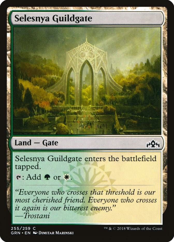 Selesnya Guildgate (255) card image