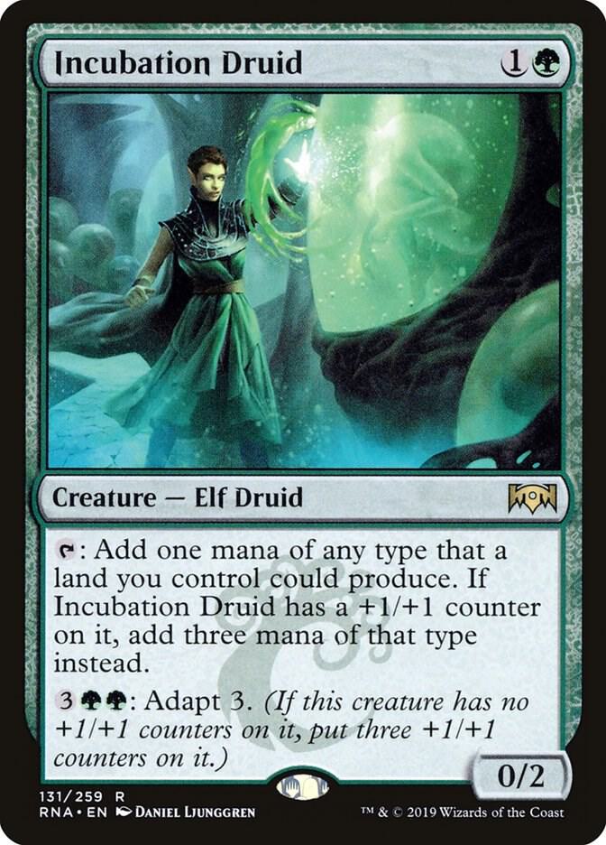 Incubation Druid card image