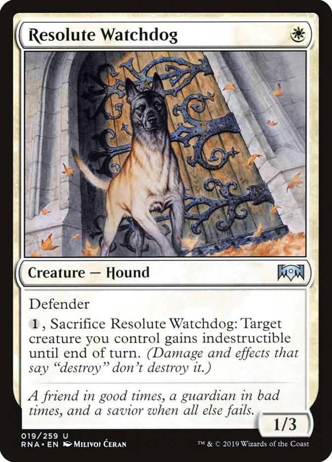 Resolute Watchdog card image
