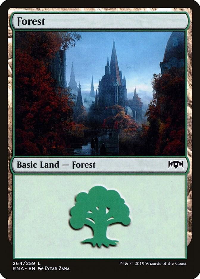 Forest card image