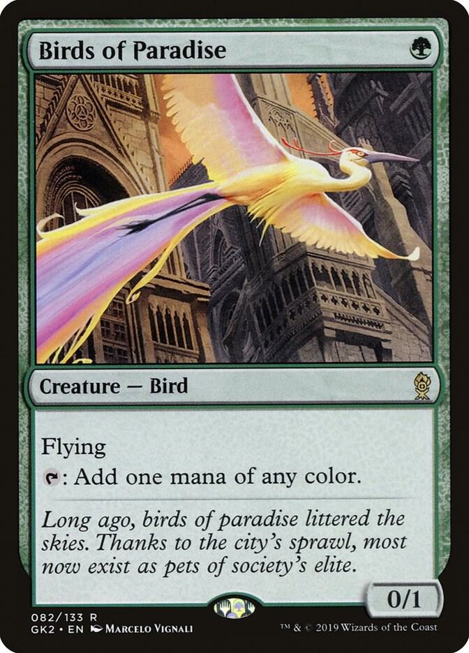 Birds of Paradise card image