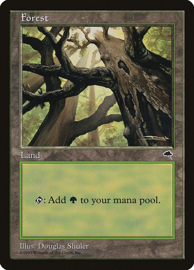 Forest (Skyward) card image