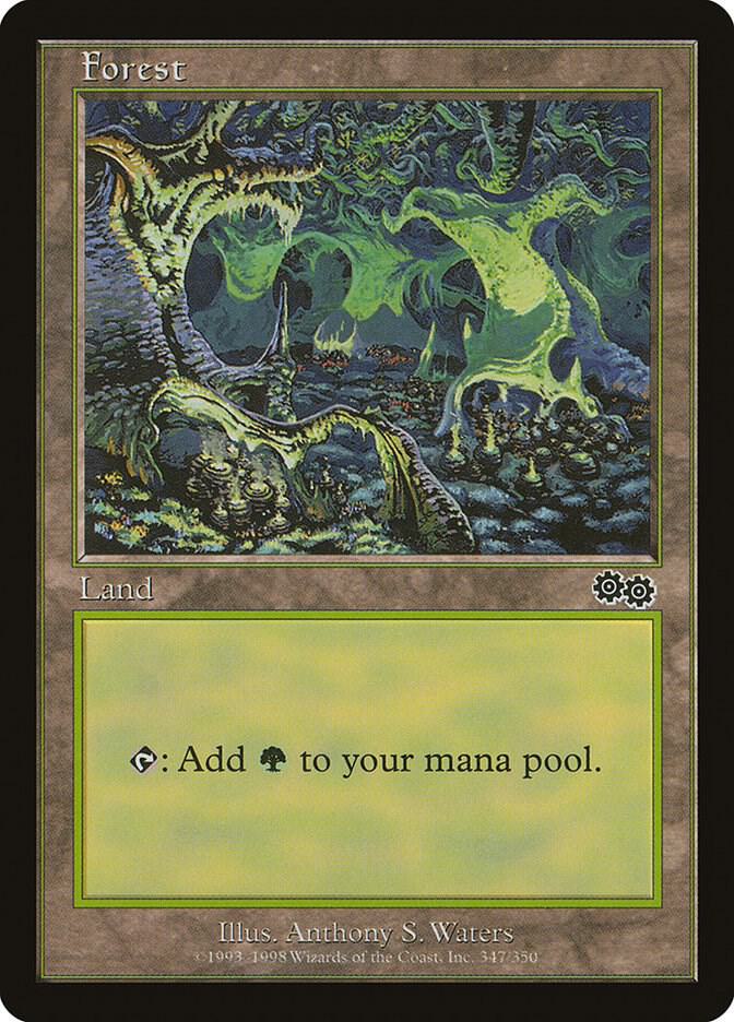 Forest (347) card image