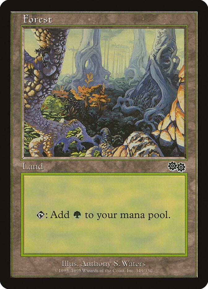 Forest (349) card image