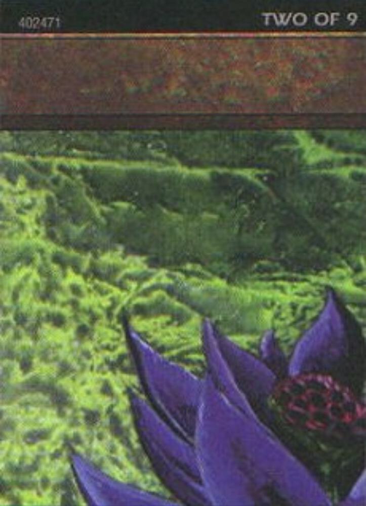 Black Lotus (2 of 9) (Ultra Pro Puzzle Quest) card image
