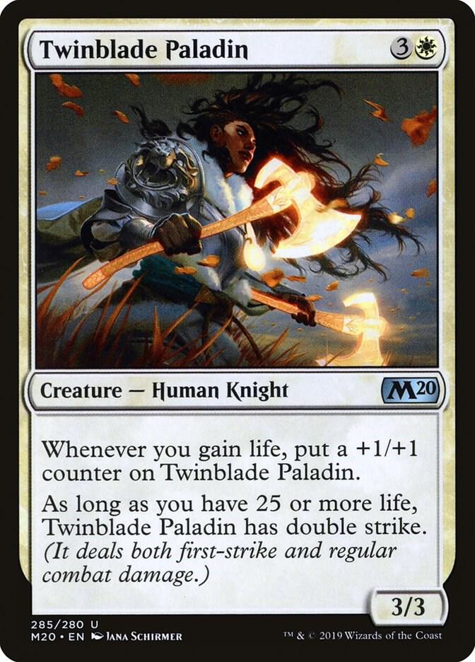 Twinblade Paladin card image