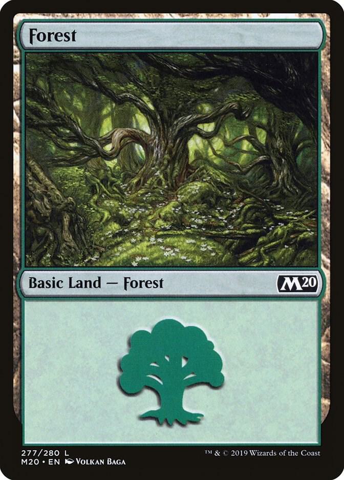 Forest card image
