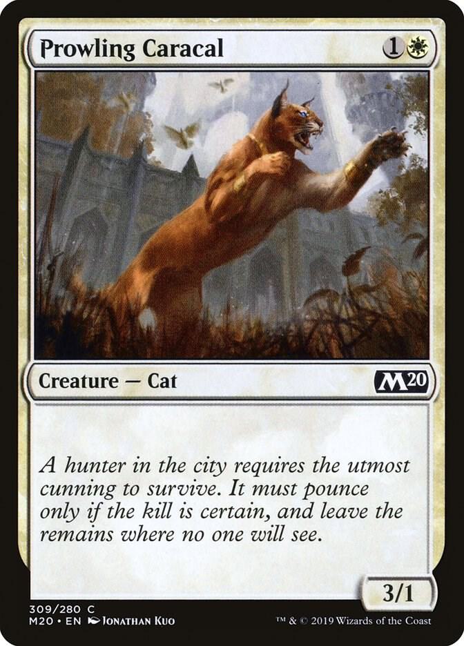 Prowling Caracal card image