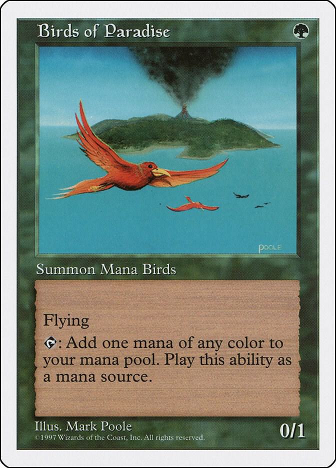 Birds of Paradise card image