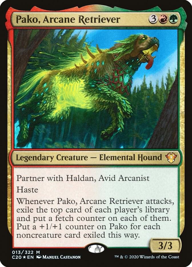 Pako, Arcane Retriever card image