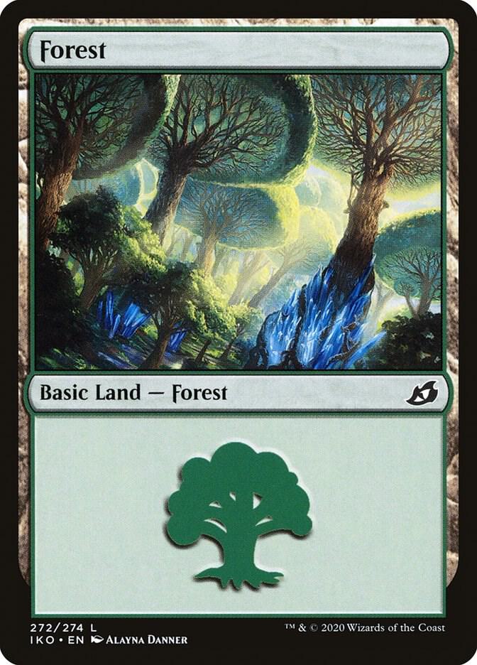 Forest card image