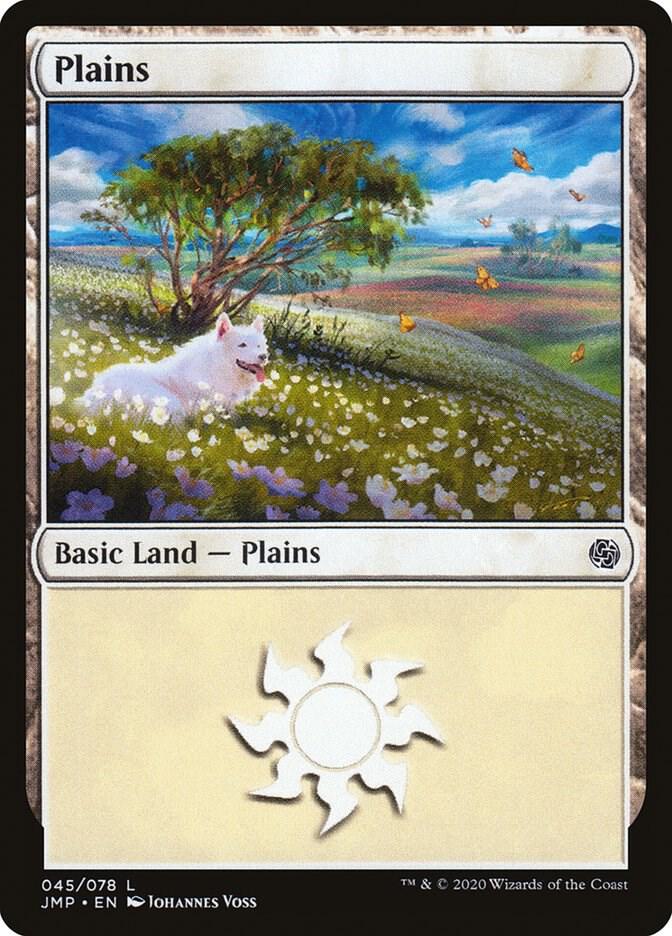 Plains (045) card image