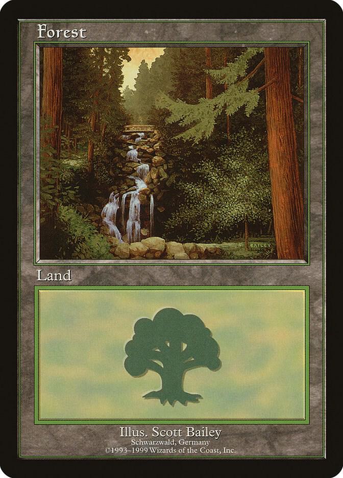 Forest - Schwarzwald card image