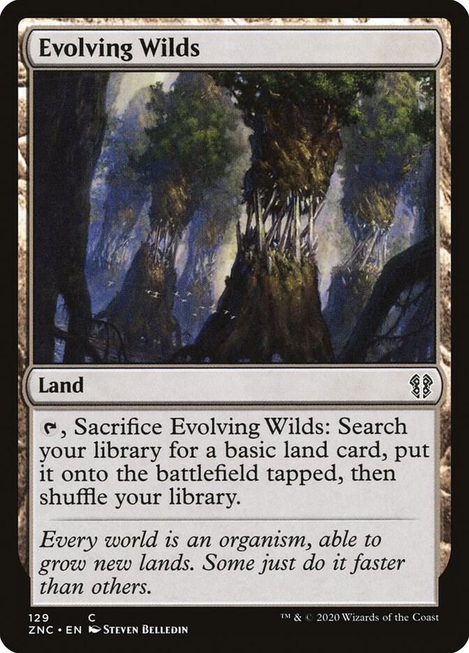 Evolving Wilds card image