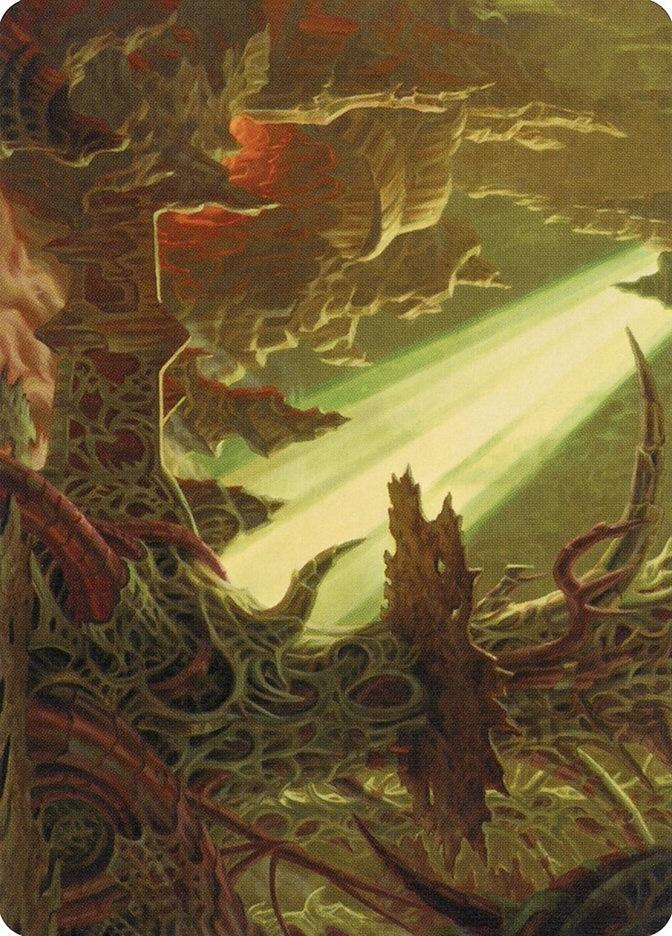 Darkmoss Bridge Art Card card image