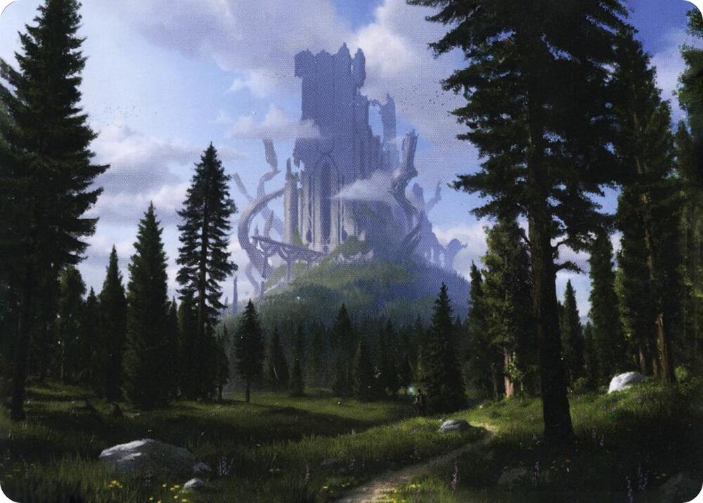 Forest (61/81) Art Card card image