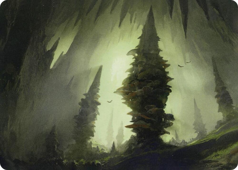 Forest (55/81) Art Card card image