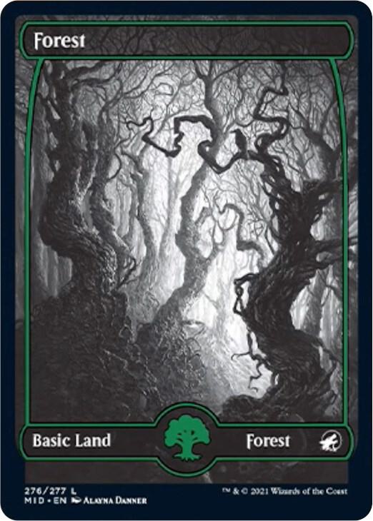 Forest (276) card image
