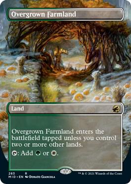 Overgrown Farmland (Borderless) card image