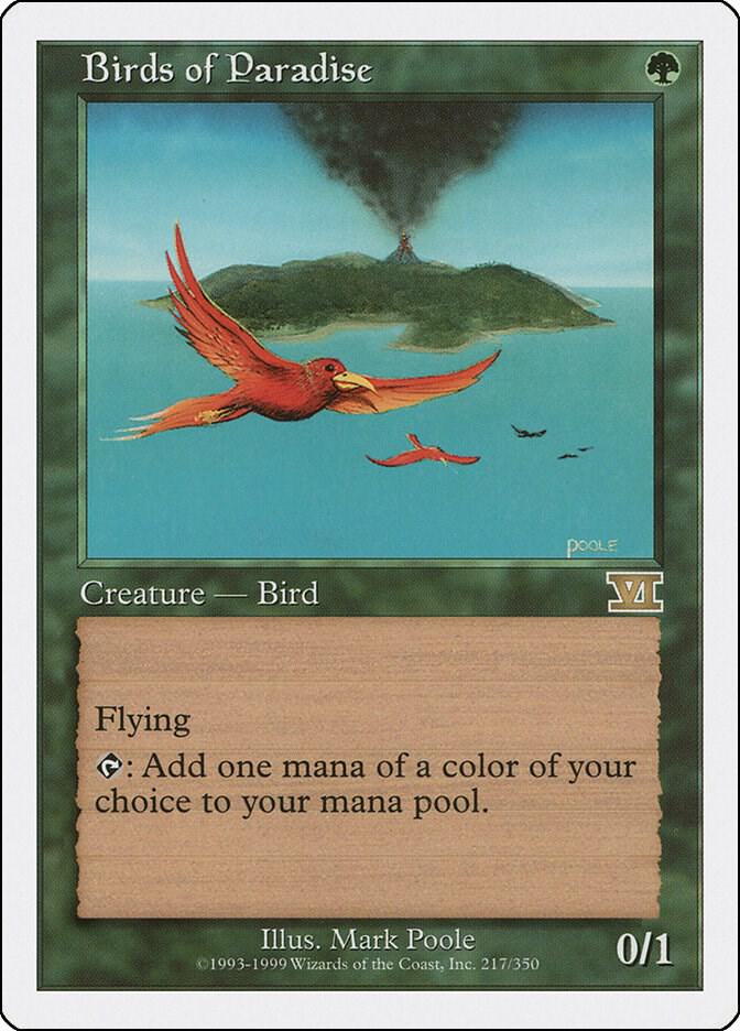 Birds of Paradise card image