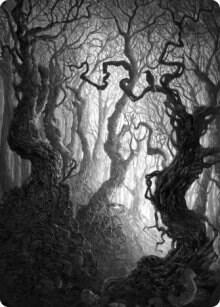 Forest Art Card (80/81) card image