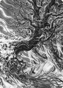 Forest Art Card card image