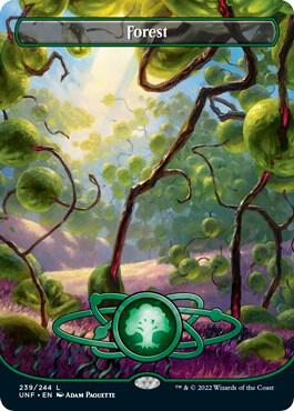 Forest (239) (Borderless) card image
