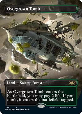 Overgrown Tomb (Borderless) card image